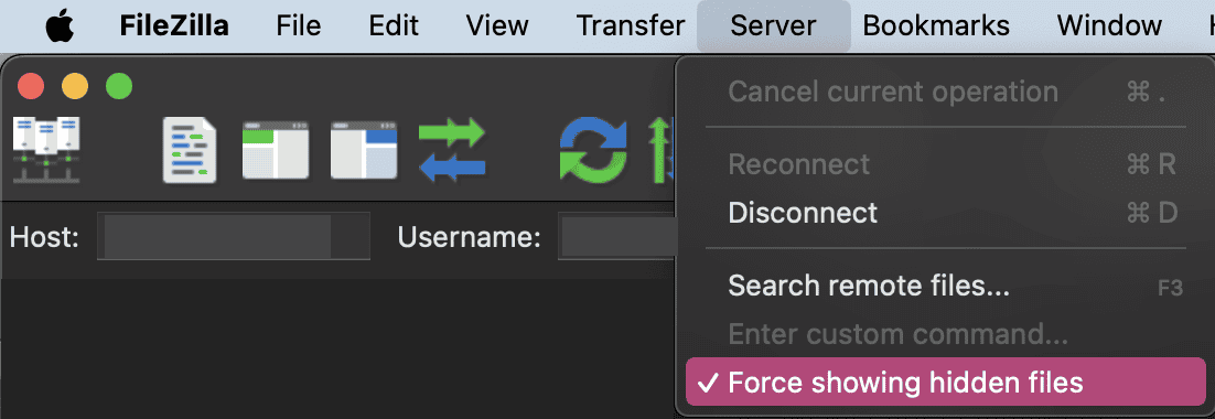 FTP client option to show hidden files
